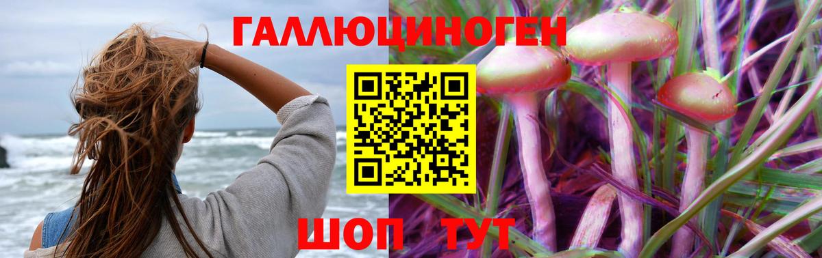 Галлюциногенные грибы Cubensis  Псилоцибиновые грибы прущие грибы  Каменск-Шахтинский  купить закладку  Вход с VPN 